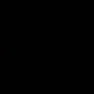 Meet your Posher, Jaevin